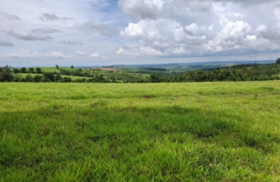 Fazenda para venda em Riversul